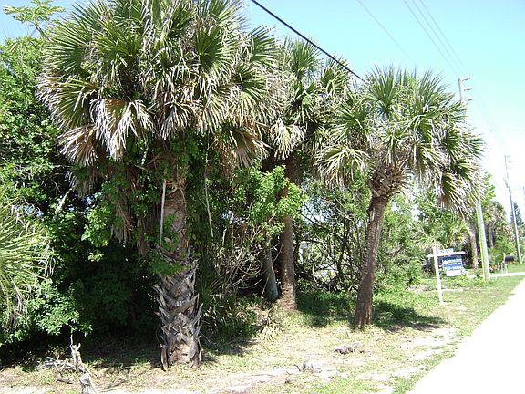 3rd image of 6530 Highway A1a