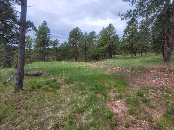 24653 Outback Trl, Hermosa, SD 57744