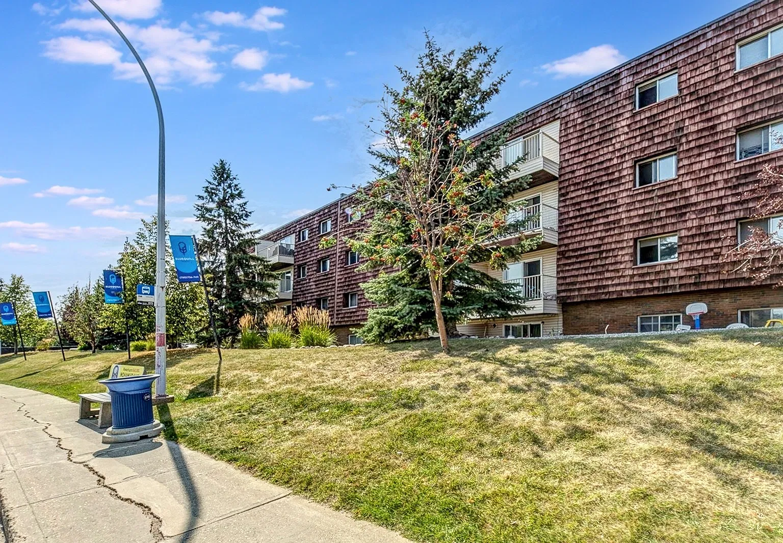 Blue Quill Pointe — Photo 4