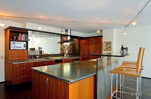 3rd image of 900 N Lake Shore Dr APT 713