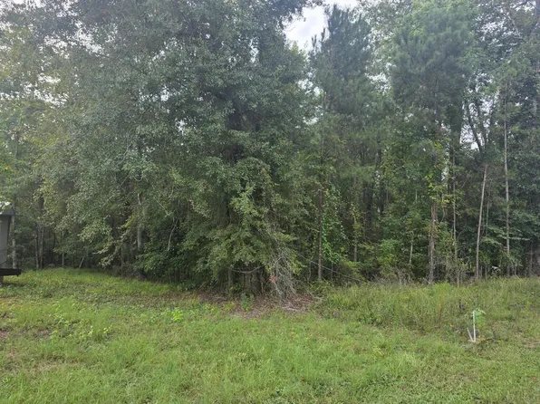 LOT 107 Plantation Blvd, Georgetown, GA 39854