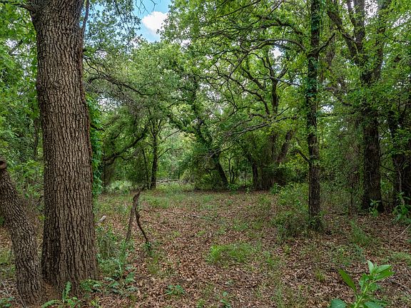 Land near De Leon with Owner Financing Available