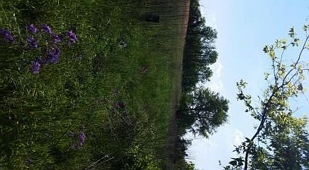 2nd image of 1610 Campbell Rd