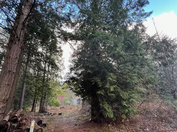 0 Lot 4 Drake Avenue, Point Roberts, WA 98281