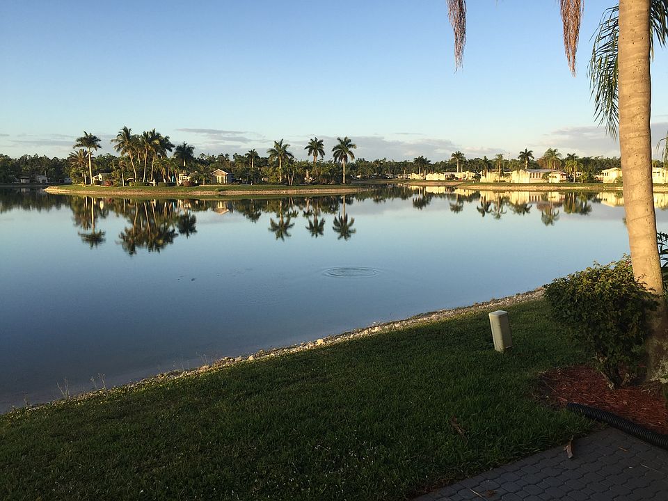 View from back porch