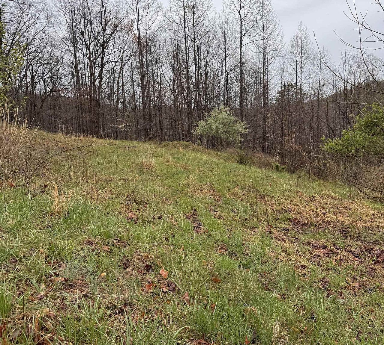 1017-1018 Stardust Dr, Scott Depot, WV 25560 | Zillow