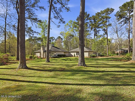 3rd image of 4 Fern Cv