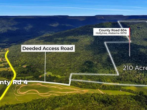County Road 604, Hollytree, AL 35751