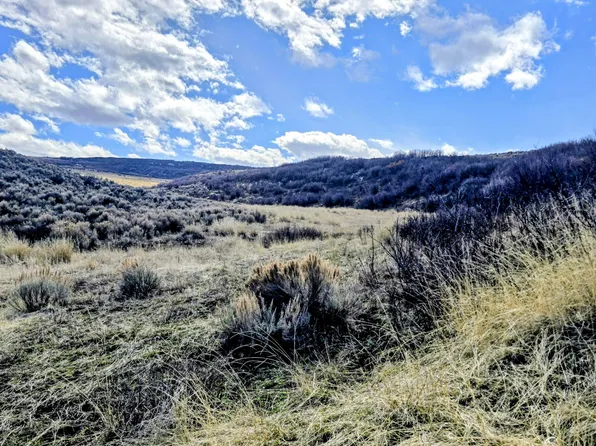 County Road 57, Hayden, CO 81639