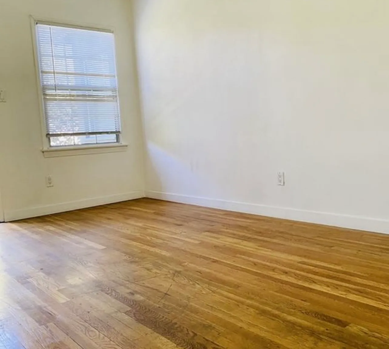 1 bed, 590 sqft, $2,000 — Photo 4
