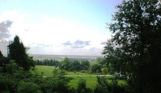 view from deck