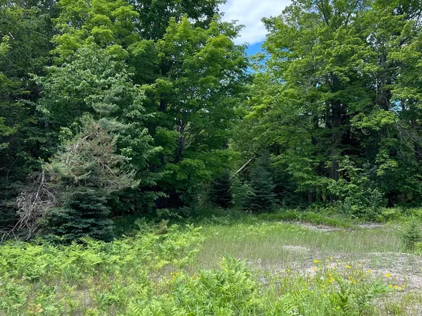 29790 S Raber Rd, Goetzville, MI 49736