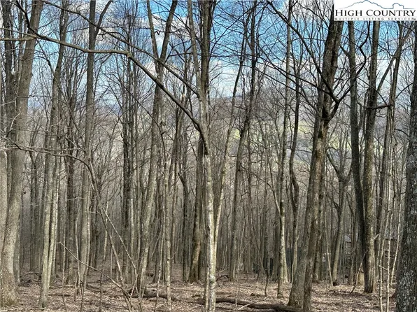 TBD Maple Leaf Drive, West Jefferson, NC 28694