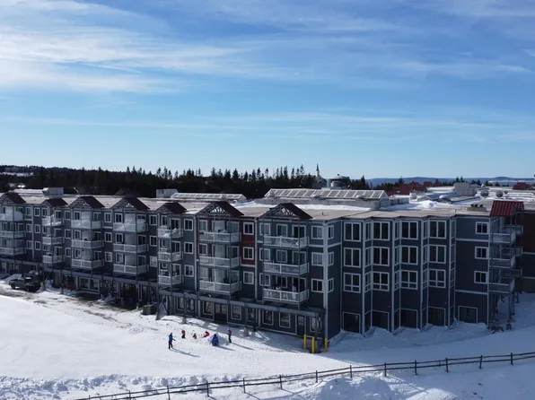 350 Mountain Ldg, Snowshoe, WV 26209