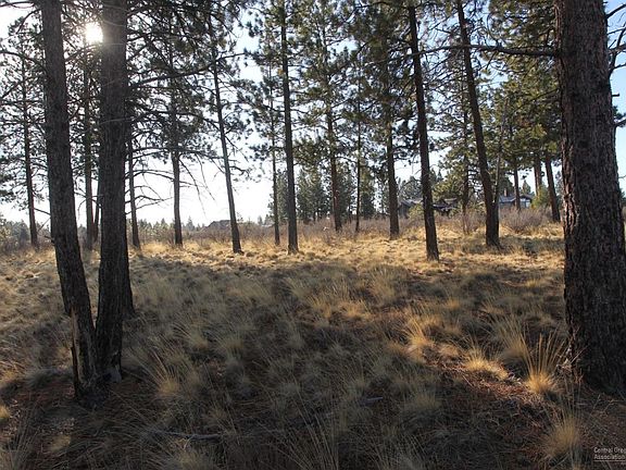 4th image of 61880 Hosmer Lake Dr