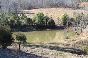 5th image of 0 Marion County #6075