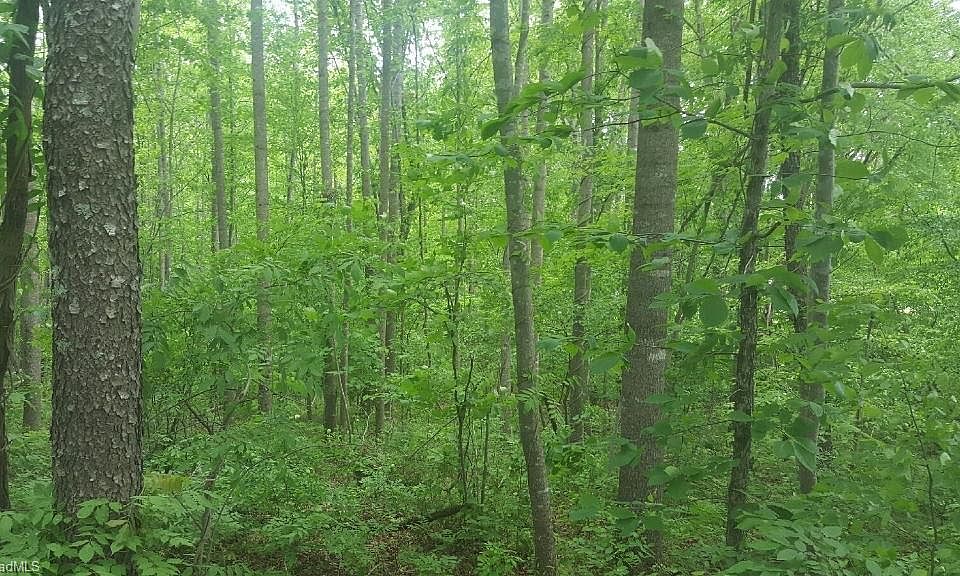 2nd image of 1180 Shagbark Dr