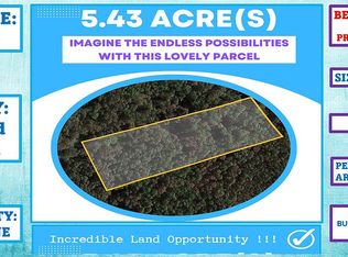 Black Bear Ln, Lead Hill, AR 72644