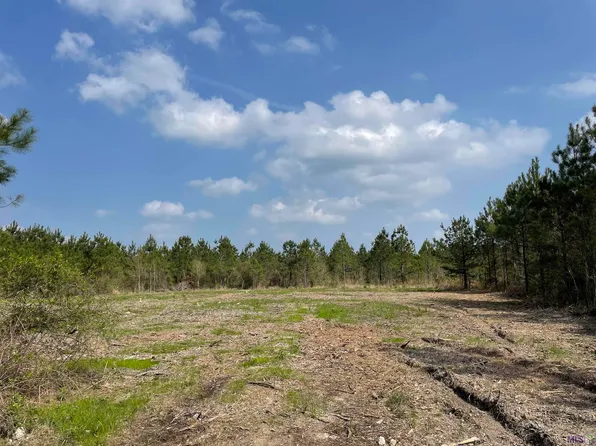 TRACT 10 Lorin Wall Rd, Holden, LA 70744