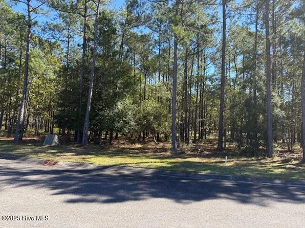 3002 Vera Cruz Circle SE, Bolivia, NC 28422