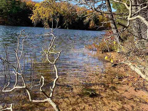 5th image of Sporley Lake Parcel B