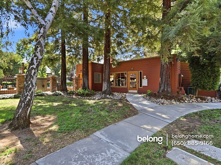 894 Catkin Ct — Photo 6