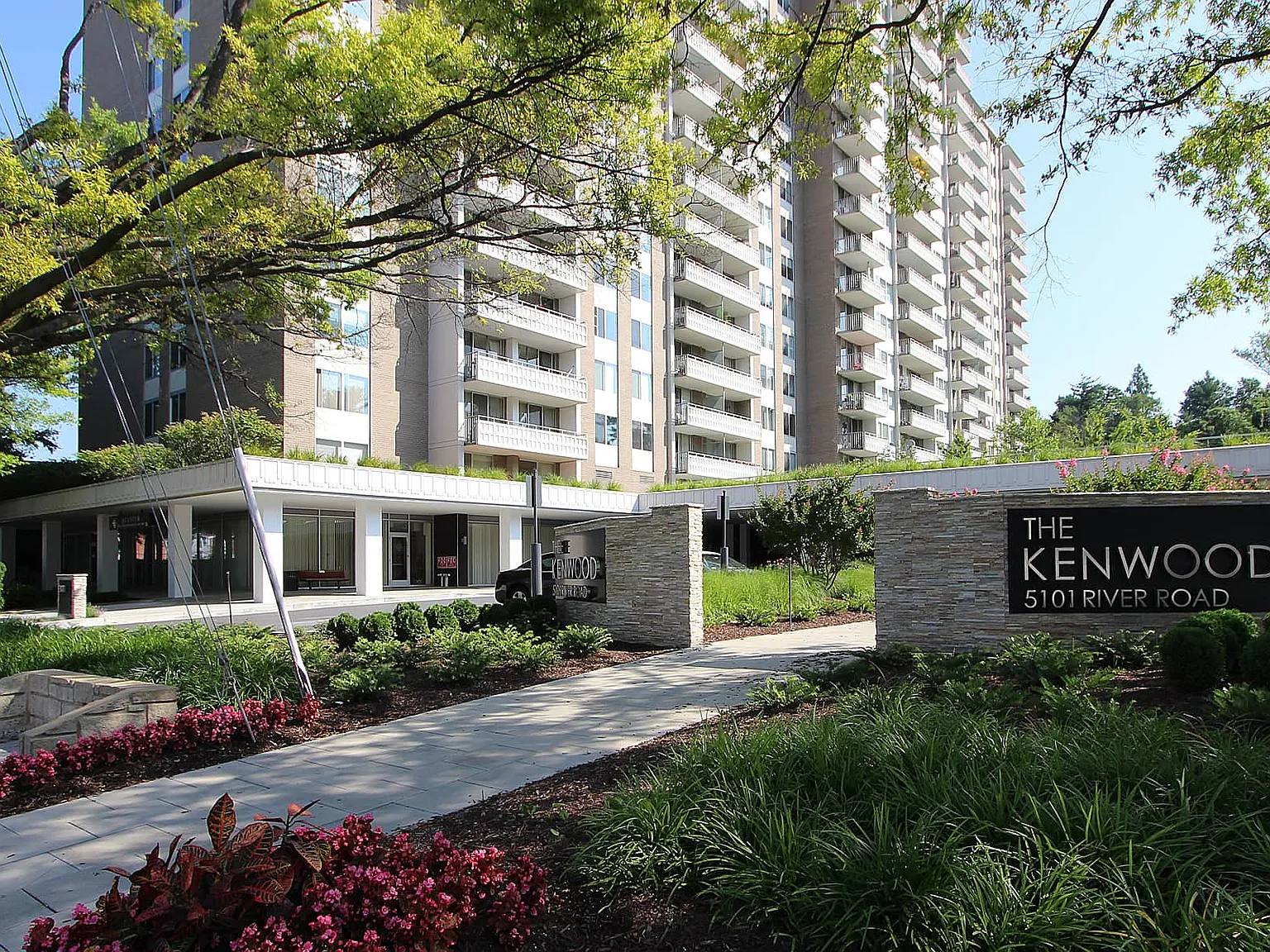 1 bed, 1007 sqft, $2,000 — Photo 1
