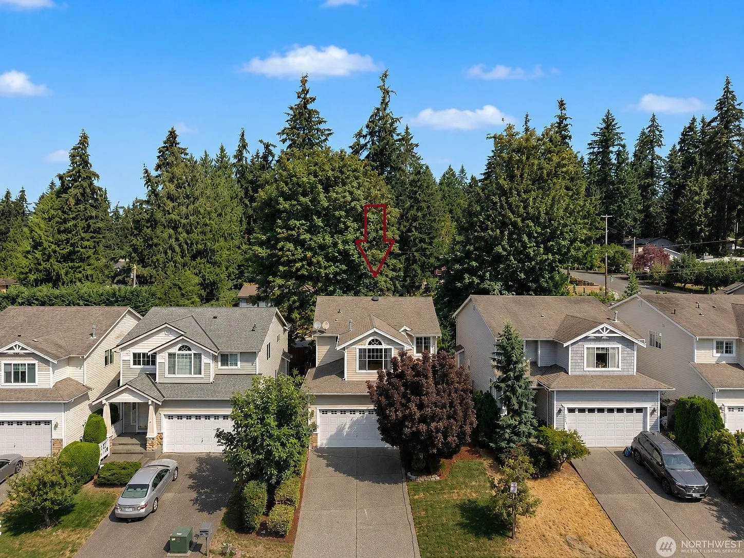 3 bed, 2.5 bath, 1870 sqft, $3,450 — Photo 3