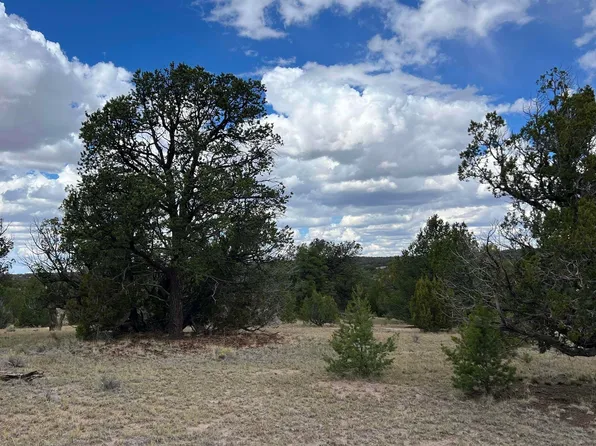 Deer Run Trl, Pie Town, NM 87827