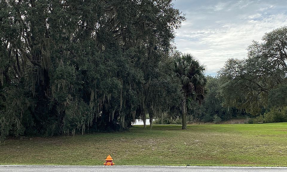 1st image of 24344 Bear Den Dr