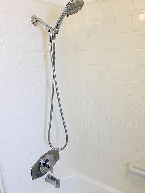 Tub shower