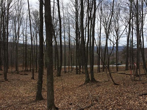 5th image of 71 Scenicview Dr