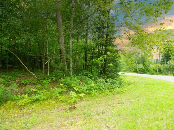 Groh Ln #76, Mountain, WI 54149