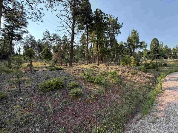 Lot 1581 Luna, Angel Fire, NM 87710