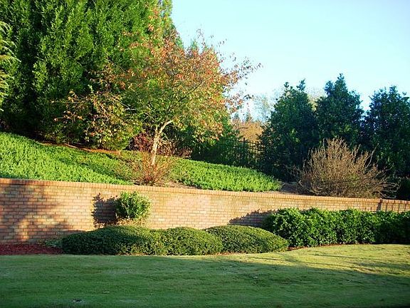 Professionally Landscaped Backyard