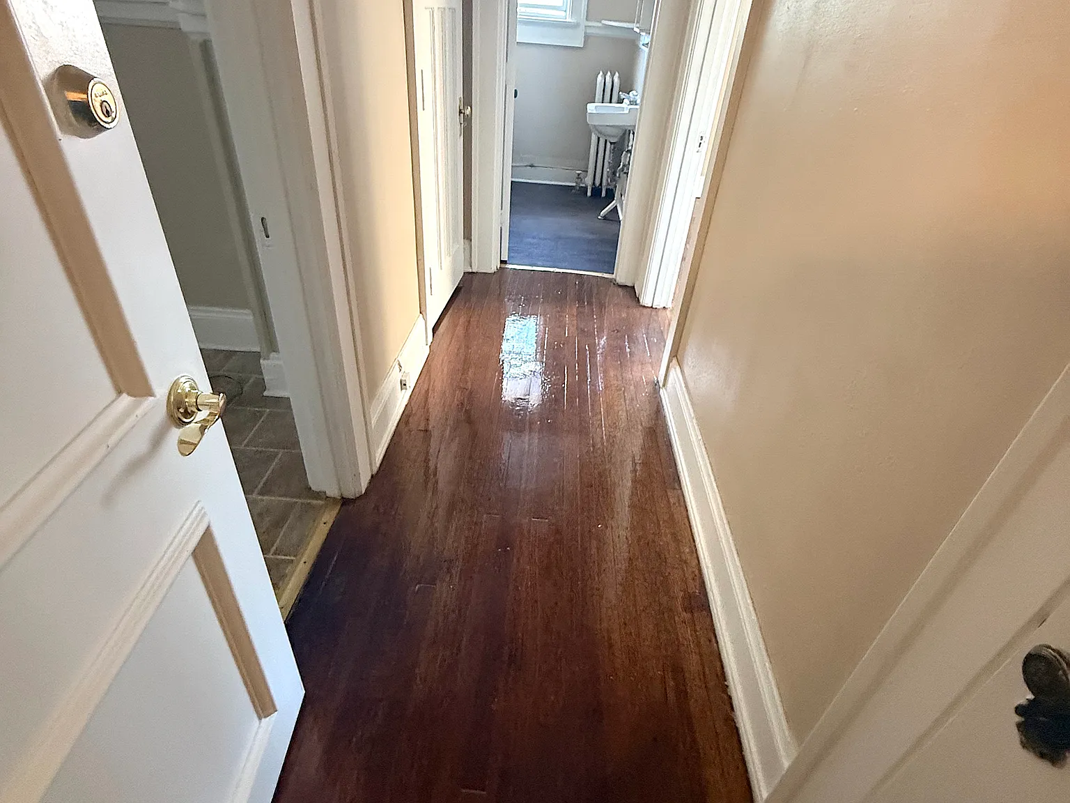 1 bed, 550 sqft, $825 — Photo 3