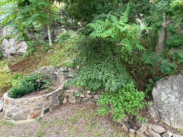 9 Brightside Ave #2 — Photo 14