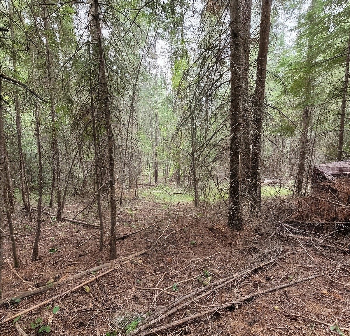 0 XXX Springdale Hunters Road, Springdale, WA 99173 MLS 2044546 Zillow