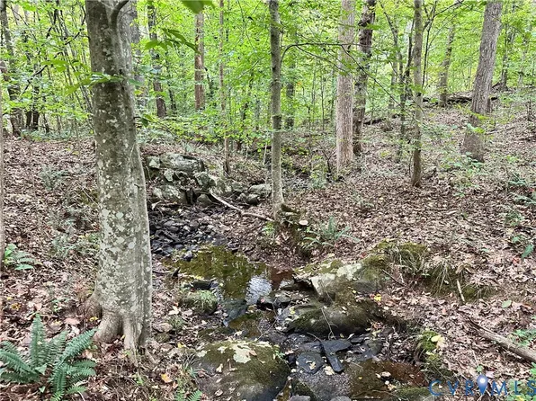 Tomlinson Rd, Victoria, VA 23974
