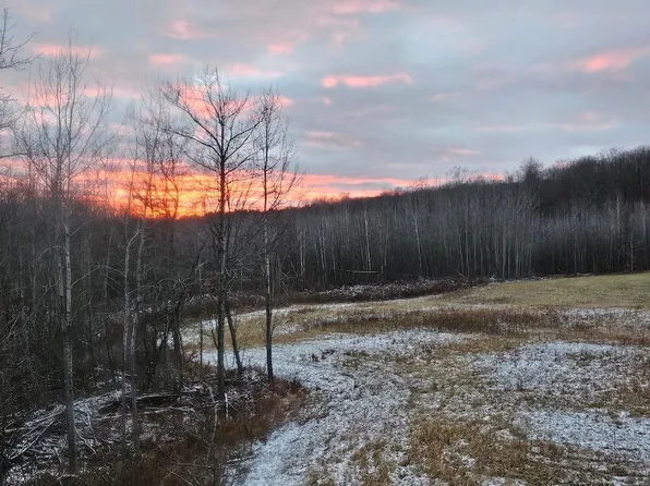 W Miller Rd, Mio, MI 48647