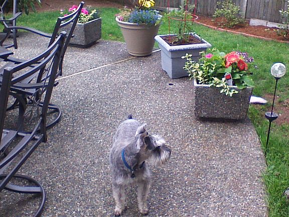 2nd image of 14212 SE 24th St