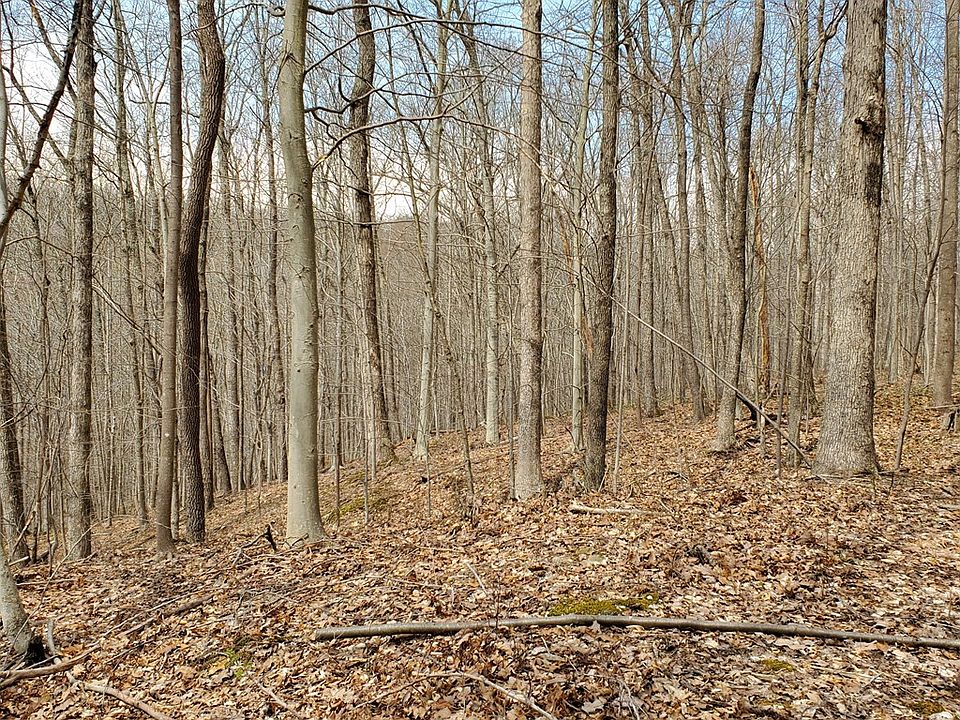 0 State Route 772, Rarden, OH 45671 Zillow