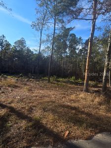 Tbd Langfordville, Ridgeland, SC, 29936