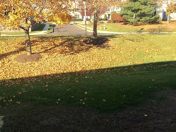 View from the back deck off the dining room