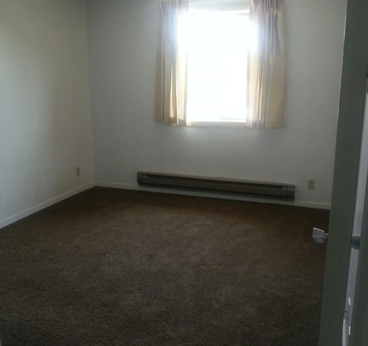 York Street Apartments - 204 — Photo 3