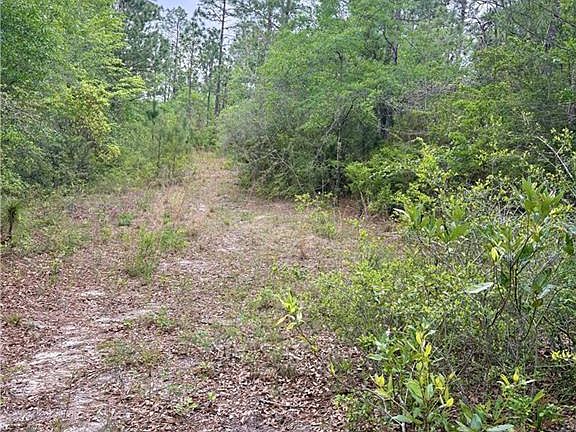 5th image of 0 Long Leaf Rd Lot 6
