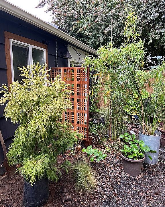 2nd image of 5936 NE 18th Ave