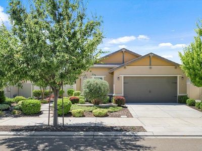1242 Shady Pines St, Manteca, CA, 95336