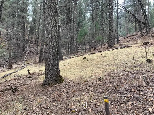 0 Ponderosa Pines Trl, Cloudcroft, NM 88317