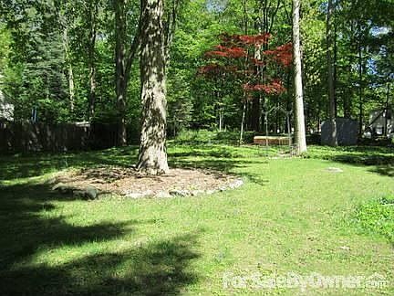 left side of yard
